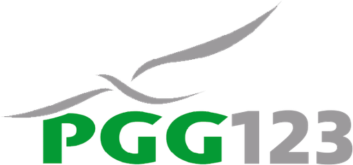 pgg123slot.com Logo